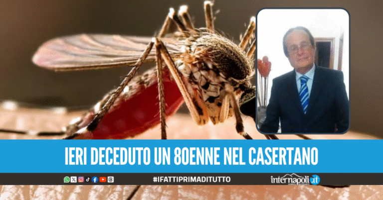 Seconda vittima di West Nile in Campania, 74enne di Pomigliano stroncato dal virus