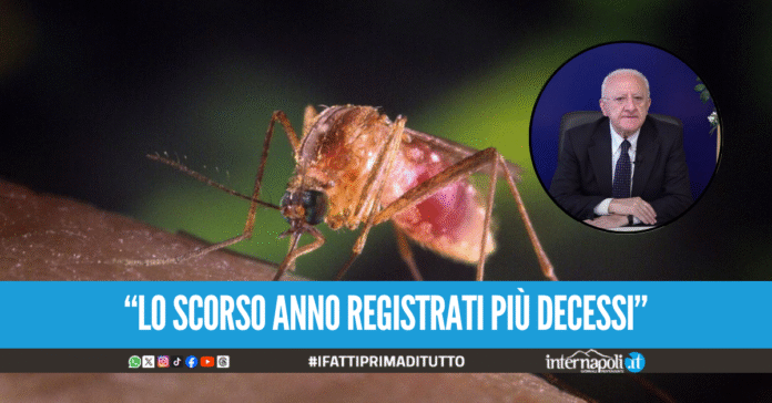 West Nile in Campania, De Luca rassicura i cittadini: 