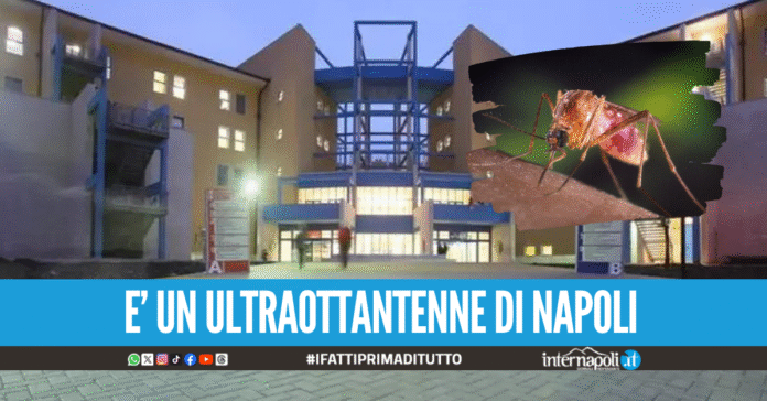 Virus West Nile in Campania, caso sospetto all'ospedale 