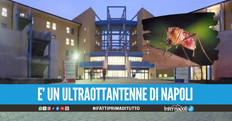 Virus West Nile in Campania, caso sospetto all'ospedale "Moscati" di Avellino