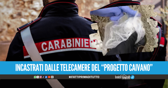Droga nascosta tra le sterpaglie, arrestati due 17enni a Caivano