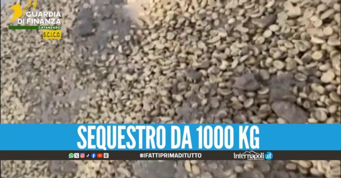 La 'ndrangheta nascondeva la cocaina nel caffè e nel succo di moringa