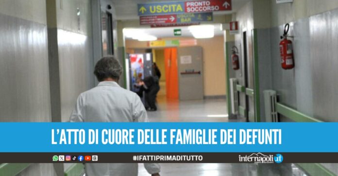 Trapianto d'organi da record agli ospedali del Mare e San Paolo di Napoli, salvate numerose vite