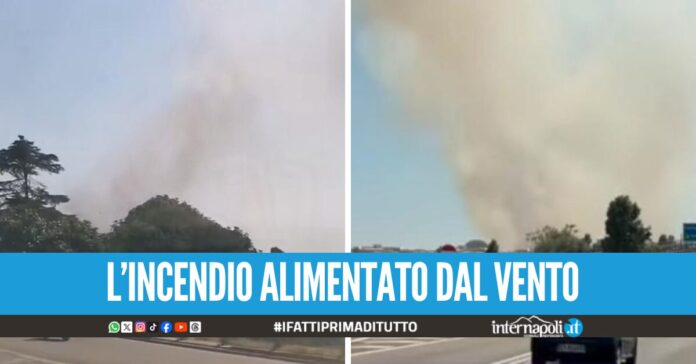Incendio nell'aeroporto di Capodichino, fiamme a ridosso delle piste di volo