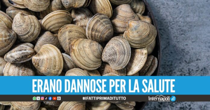 Sporcizia e insetti nel ristorante a Castellammare, sequestrati 40 chili tra cozze e vongole