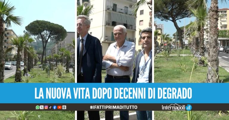 Viale Augusto cambia volto, terminata la riqualificazione con 320 nuove palme piantate