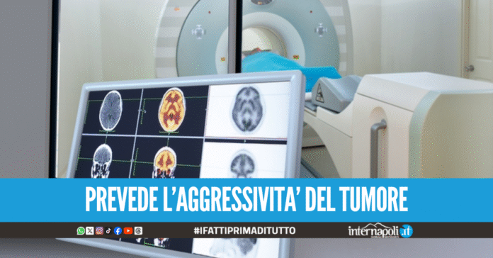 Tumore del pancreas aggressivo, scoperta firma genetica che aiuta a fare diagnosi precoce