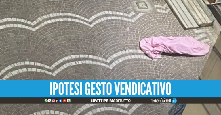 Orrore a San Giovanni-Barra, cani lasciati senza cibo e acqua: un cucciolo non ce l'ha fatta
