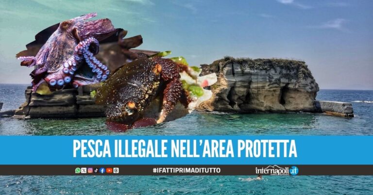 Pescava polpi e granchi 'felloni', sub denunciato alla Gaiola