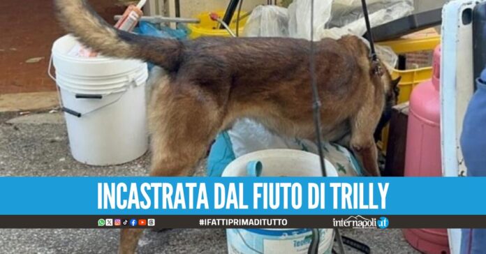 Sorpresa con droga in casa durante il blitz, subito spedita ai domiciliari