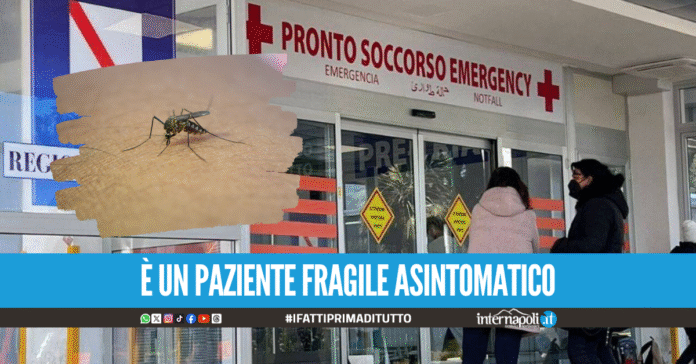 Virus West Nile in Campania, nuovo caso al Cardarelli