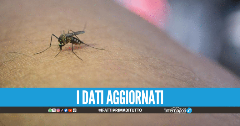 West Nile Virus, i contagi nel Lazio salgono a 9: confermati altri due casi
