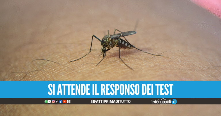 West Nile in Campania: tre nuovi casi sospetti sul litorale casertano e uno a Salerno