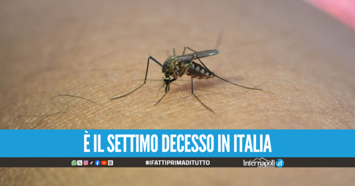 West Nile, le vittime in Campania salgono a tre: morto un 68enne a Trentola Ducenta