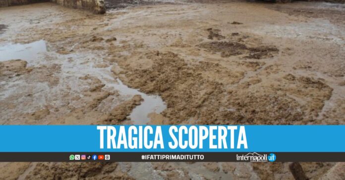 Dramma nel Salernitano, cadavere ritrovato nella vasca di letame