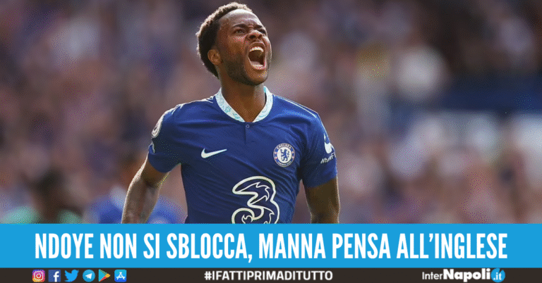 sterling napoli