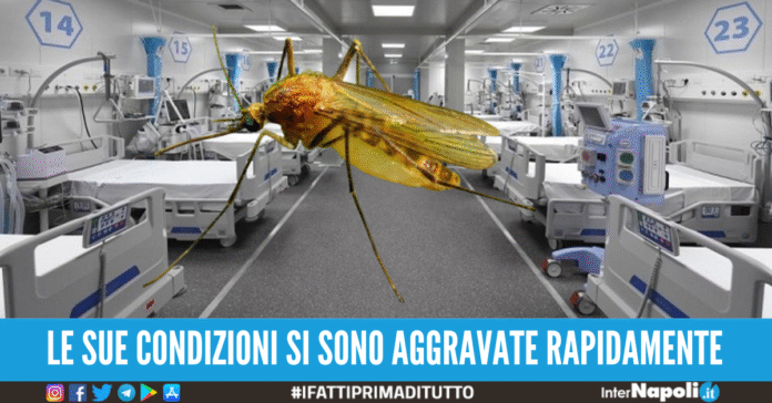 virus nile west