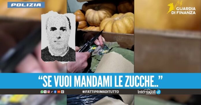 Traffico di droga a Napoli, il gruppo Di Fiore perse 2 carichi da 218 kg