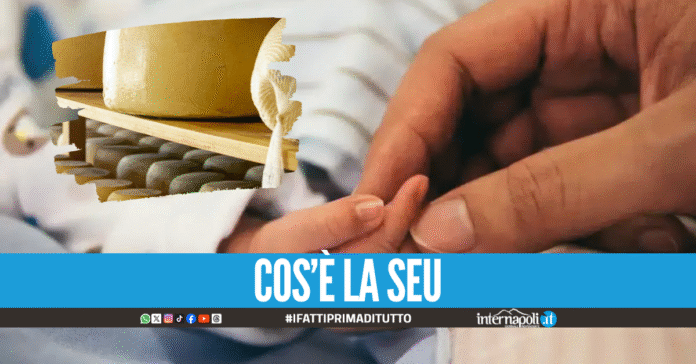 Bimbo di un anno mangia formaggio derivato da latte crudo, è grave