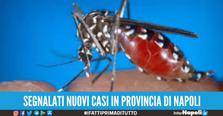 Virus West Nile, sesto morto in Campania: era ricoverato a Frattamaggiore
