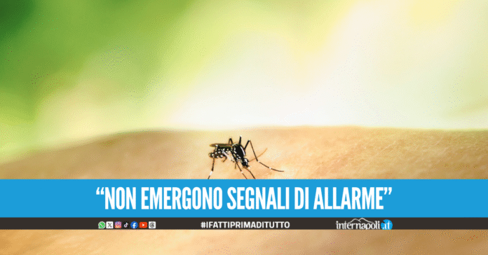 Virus West Nile, salgono a 173 i casi confermati in Italia: 21 gravi in Campania