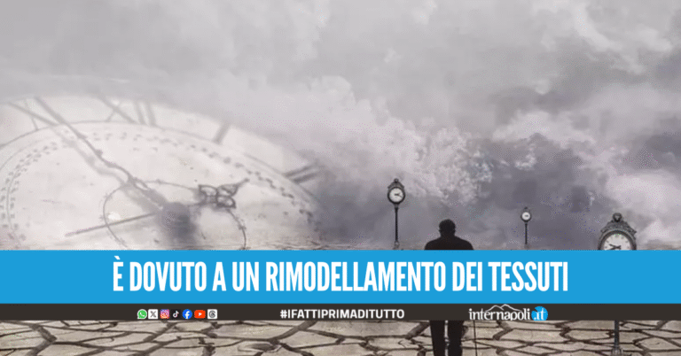 L'invecchiamento subisce un'accelerazione a 50 anni: lo studio che individua il declino