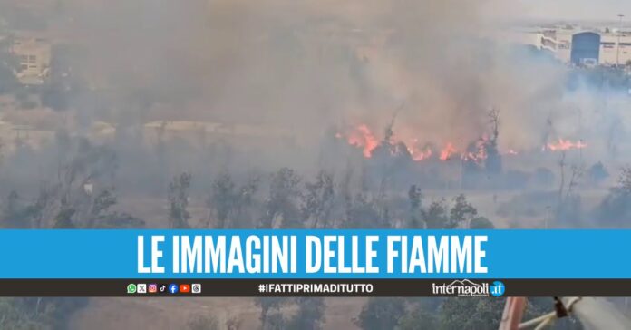Incendio a Pinetamare, fumo invade le spiagge e le case