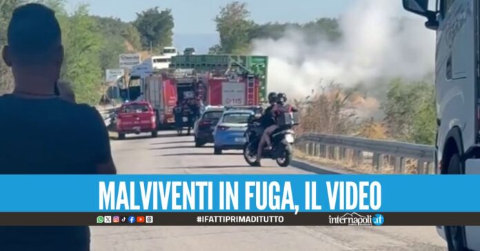 Sparano colpi di fucili nell'assalto al portavalori, banditi in fuga nel Foggiano