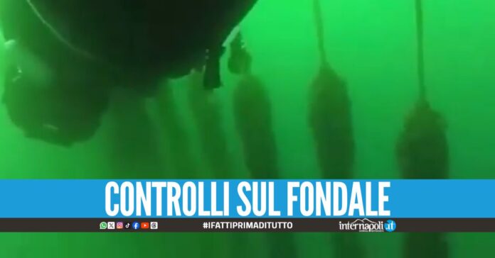 Cozze allevate tra i rifiuti, scatta il sequestro a Torre Annunziata