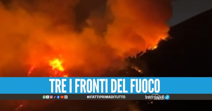 Incendio sul Vesuvio, le fiamme avanzano: indaga la Procura