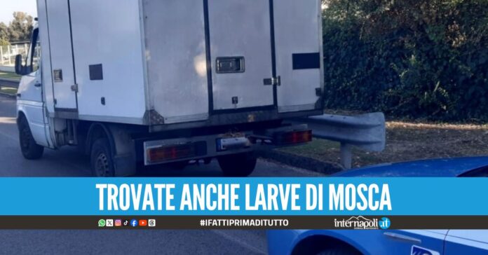 Sequestrato un carico di latticini ad Afragola, bloccato il furgoncino sull'A1