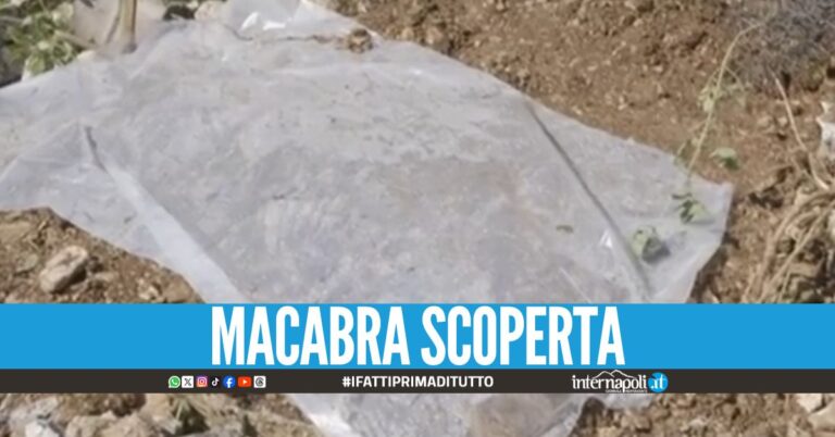 "Mamma è sepolta lì", la confessione della donna campana ai carabinieri