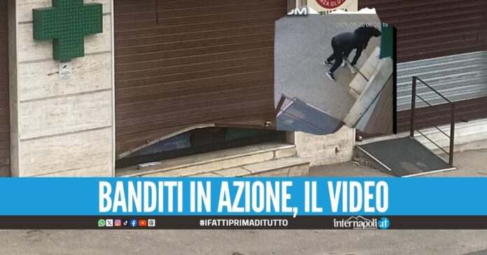 Tentano di svaligiare la farmacia ad Afragola, i titolari: 
