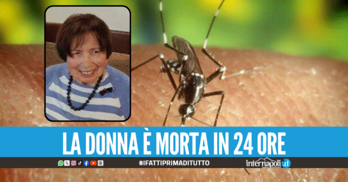 Il West Nile Virus miete la prima vittima in Veneto, morta un'anziana di 81 anni