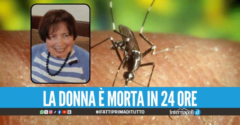Il West Nile Virus miete la prima vittima in Veneto, morta un'anziana di 81 anni