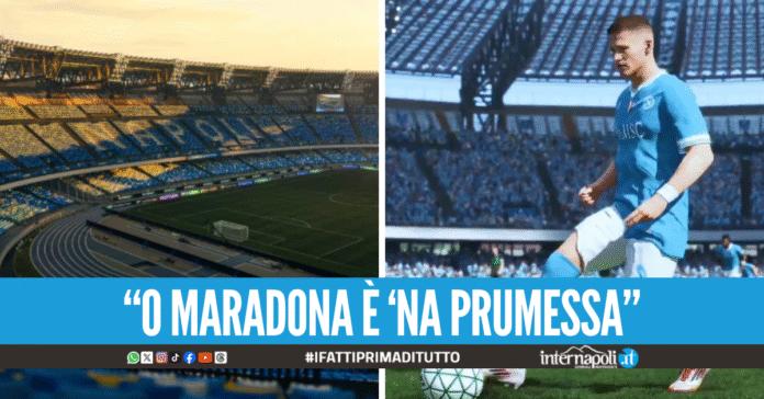 Lo stadio 