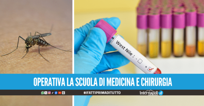 Emergenza West Nile, alla Federico II test molecolari per la diagnosi