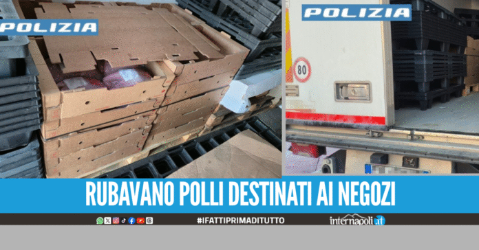 Presi due ladri di polli napoletani, erano destinati ad un noto supermercato