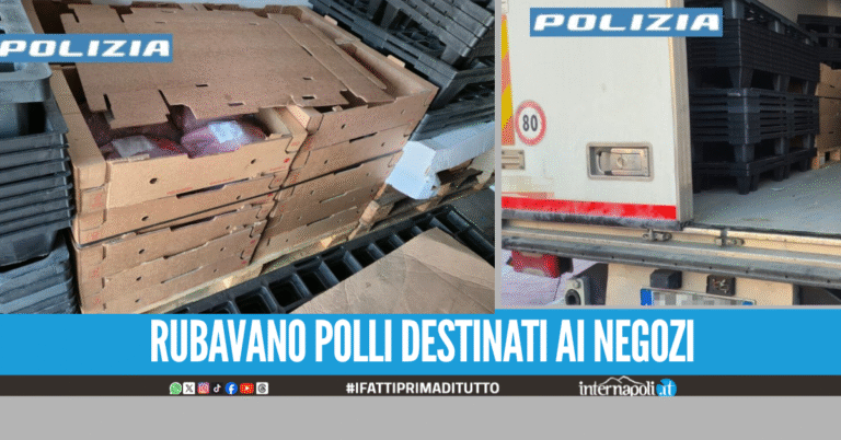 Presi due ladri di polli napoletani, erano destinati ad un noto supermercato