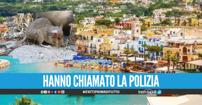 Topi nell'hotel a Ischia, i clienti scappano in strada: Ridateci i soldi
