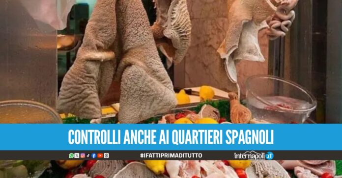 Venditore di trippa e pub multati a Torre del Greco, gravi carenze igieniche