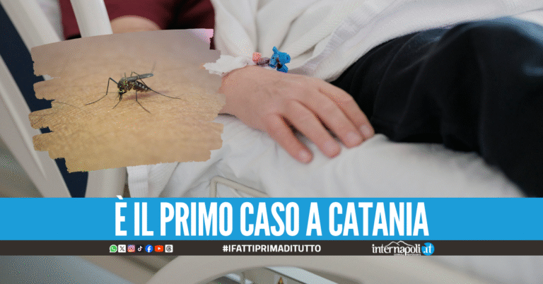 Virus West Nile, 74enne di Caserta ricoverato a Catania: è grave