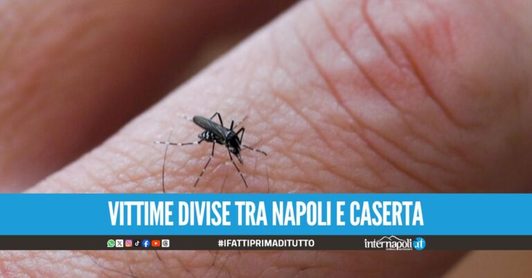 West Nile, nuova vittima a Caserta: i decessi in Campania salgono a 7