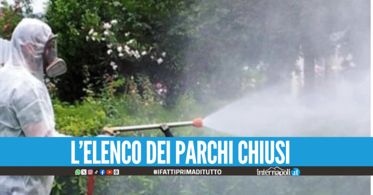 Zanzare e insetti, interventi di disinfestazione a Napoli parchi urbani temporaneamente chiusi