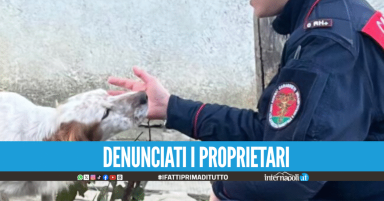 denunciati i proprietari