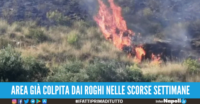 incendio praia a mare