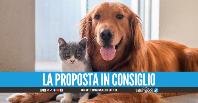 Cani e gatti seppelliti con i padroni, al vaglio la legge in Campania