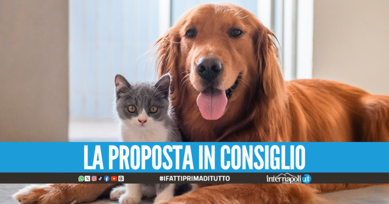 Cani e gatti seppelliti con i padroni, al vaglio la legge in Campania