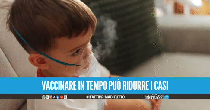 Boom di casi di pertosse tra bambini e adolescenti: i risultati di uno studio