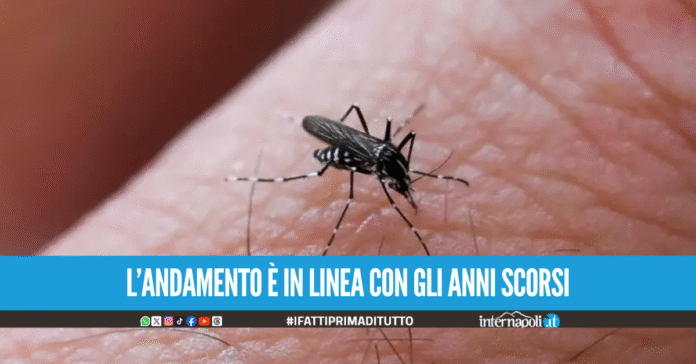 West Nile, salgono a 430 i casi in Italia, 27 i decessi